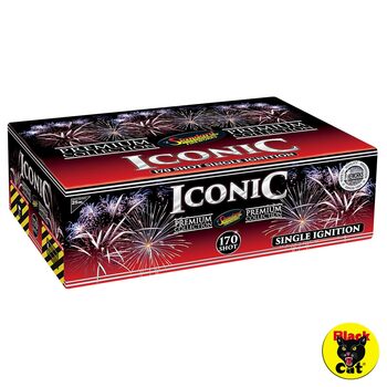 Iconic Single Ignition Firework, 170 Shots