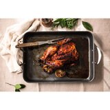 Samuel Groves Mermaid Hard Anodised 16' Roasting Dish with Cast Handles