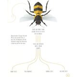 page spread bee