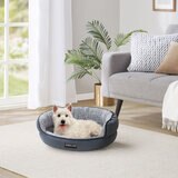 Dog Bed in Lounge