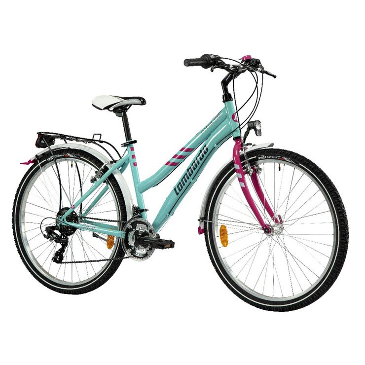 dual elliptical bike