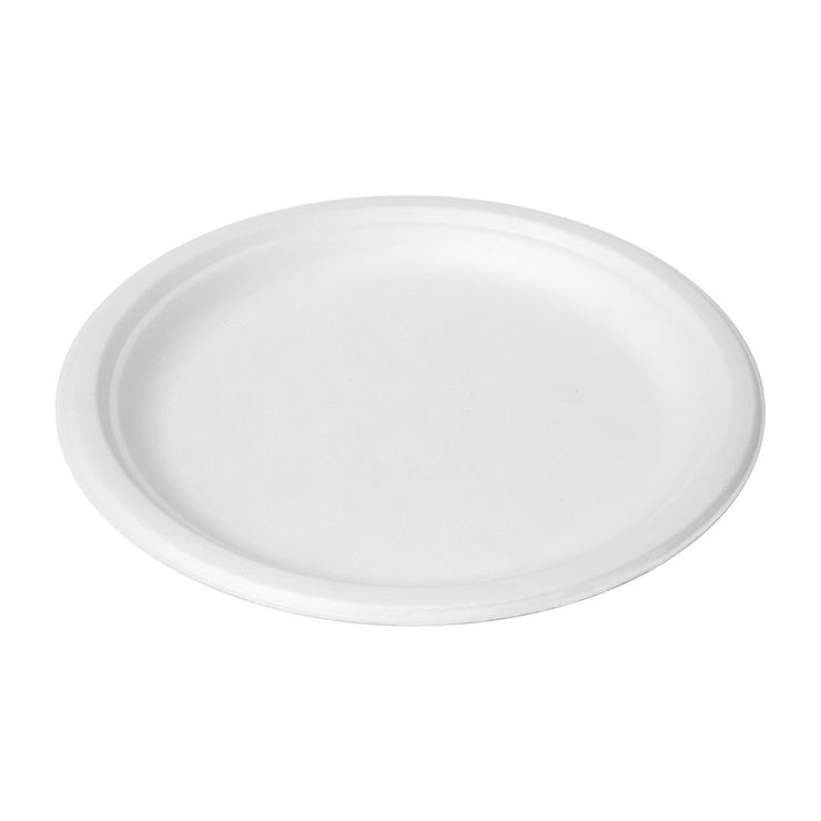 Bagasse 7 Inch Oval White Paper Plate Raised Rim