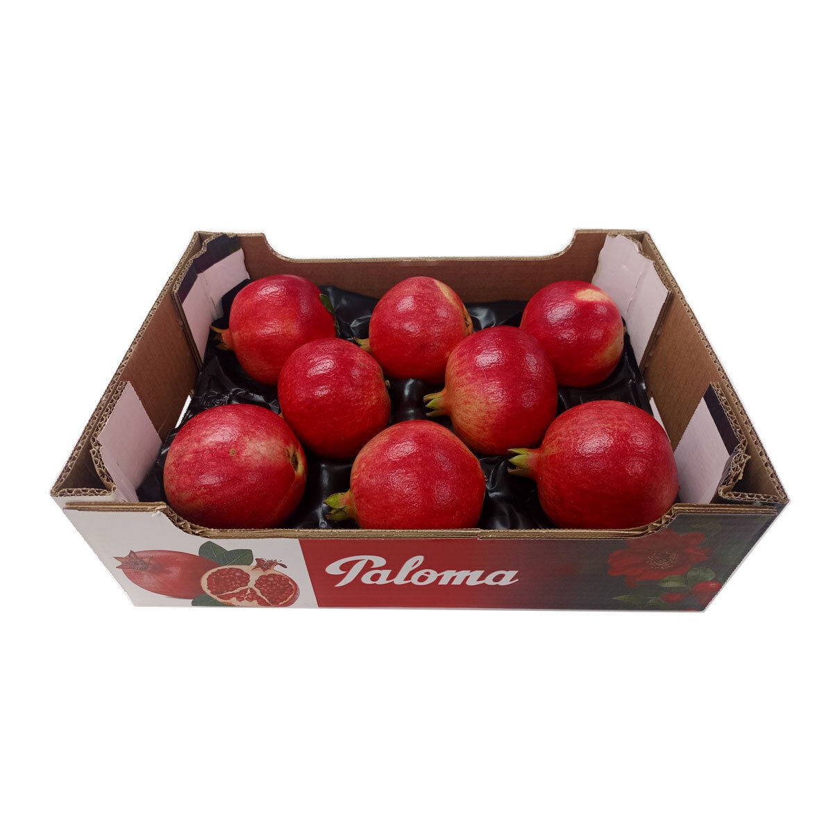 Tray of Paloma Pomegratates