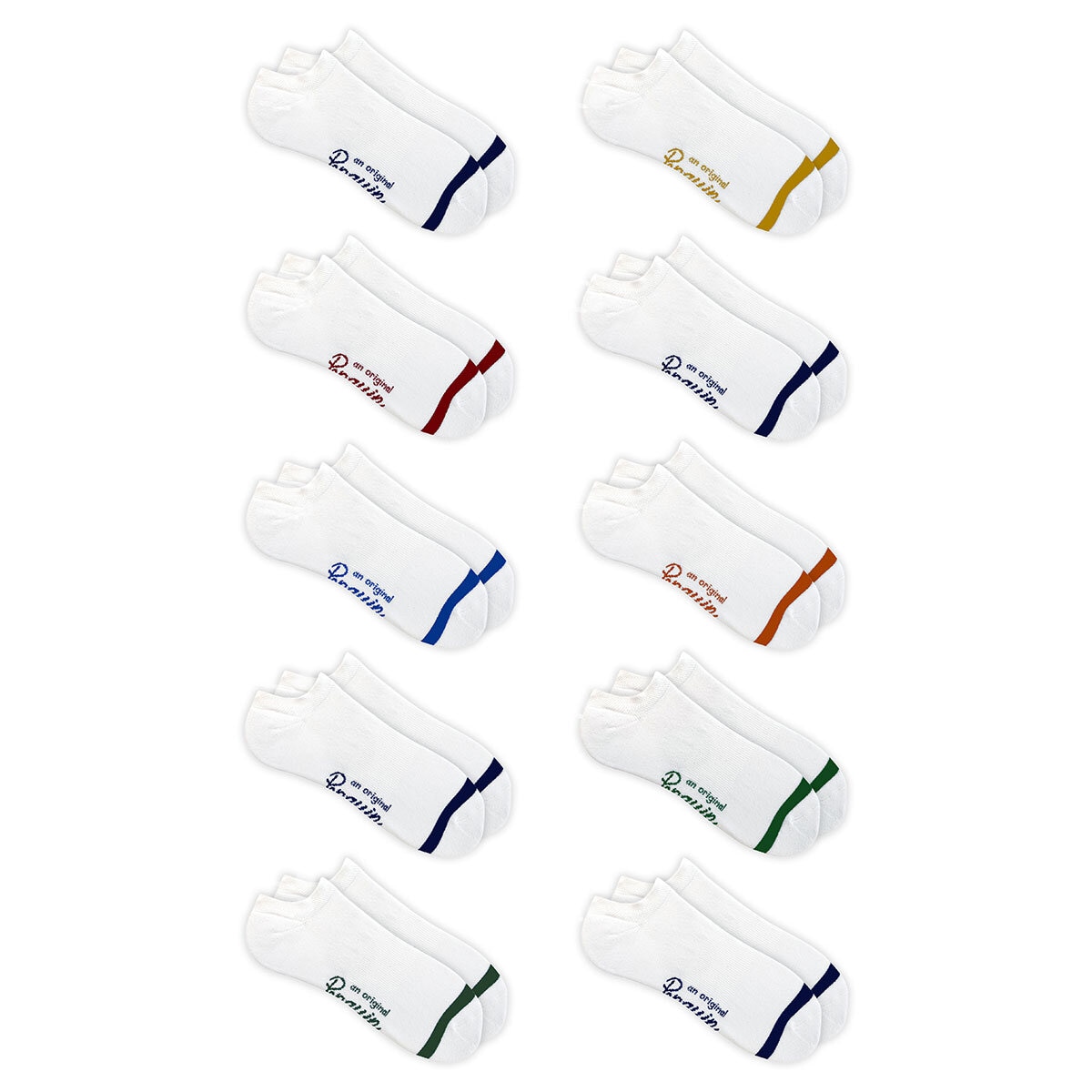 Penguin Premium Sock, 10 Pack in Assorted Colours