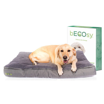 bECOsy Large Pet Bed