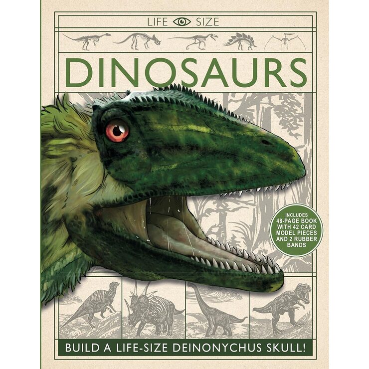 Life Size Dinosaurs (8+ Years) Life Size Dinosaurs (8+ Years)