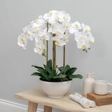 Artificial Orchid in Ceramic Pot in White