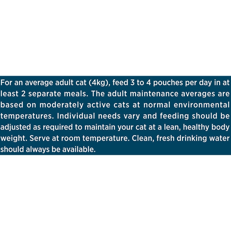 Requirements for an average cat on a blue background