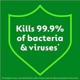 Kills 99.9% of Bacteria & Viruses