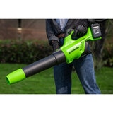 Greenworks 48V 217 km/h Cordless Brushless Leaf Blower + 2 x 24V (2Ah) Battery & Charger Bundle