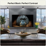 Buy LG OLED65B65LA 65 Inch OLED 4K Ultra HD Smart TV at Costco.co.uk Buy LG OLED65B65LA 65 Inch OLED 4K Ultra HD Smart TV at Costco.co.uk