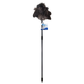 Home Valet Ozzie Ostrich Feather Duster with Telescopic Pole