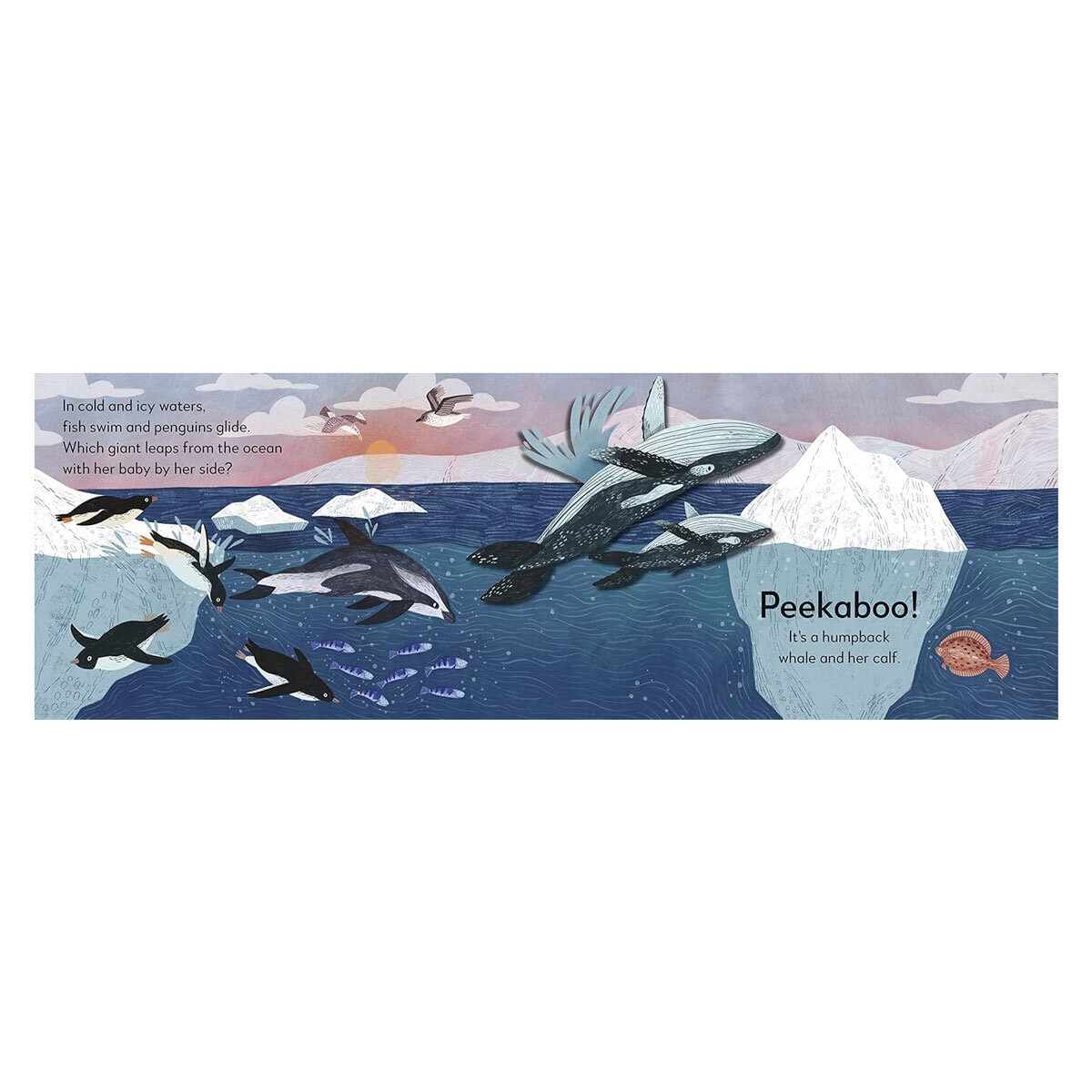 Pop-up Peekaboo Ocean