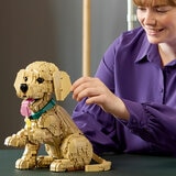 LEGO Icons Golden Retriever Puppy - Model 11384 (18+ Years)