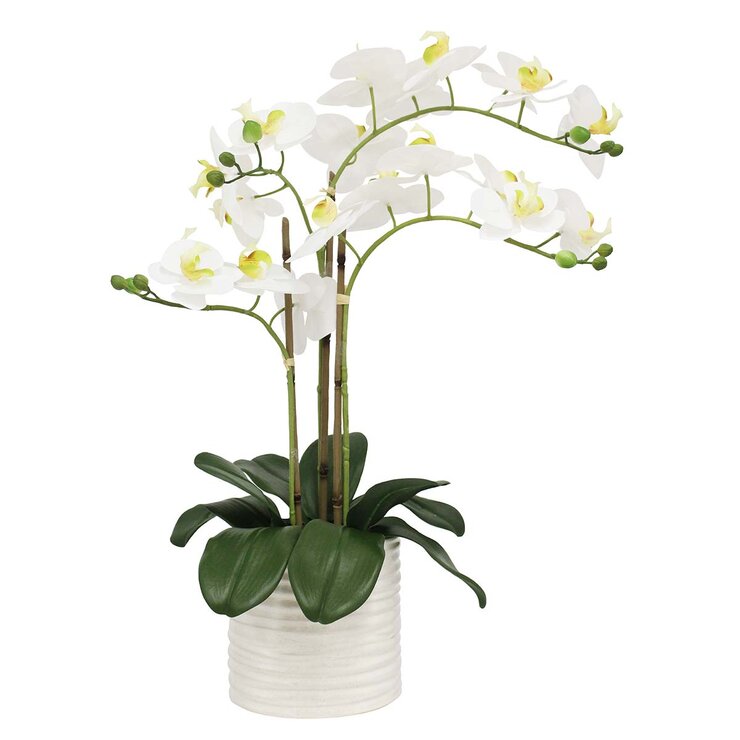 Artificial Orchid in Ribbed Ceramic Pot