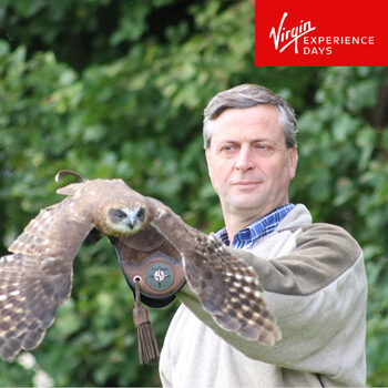 Virgin Experience Days One Hour Private Owl Encounter for Two People at the Millets Farm Falconry Centre (8 Years +)
