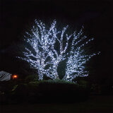 Buy Ice White String 20m 120 Bulbs LED Lights Overview2 Image at Costco.co.uk