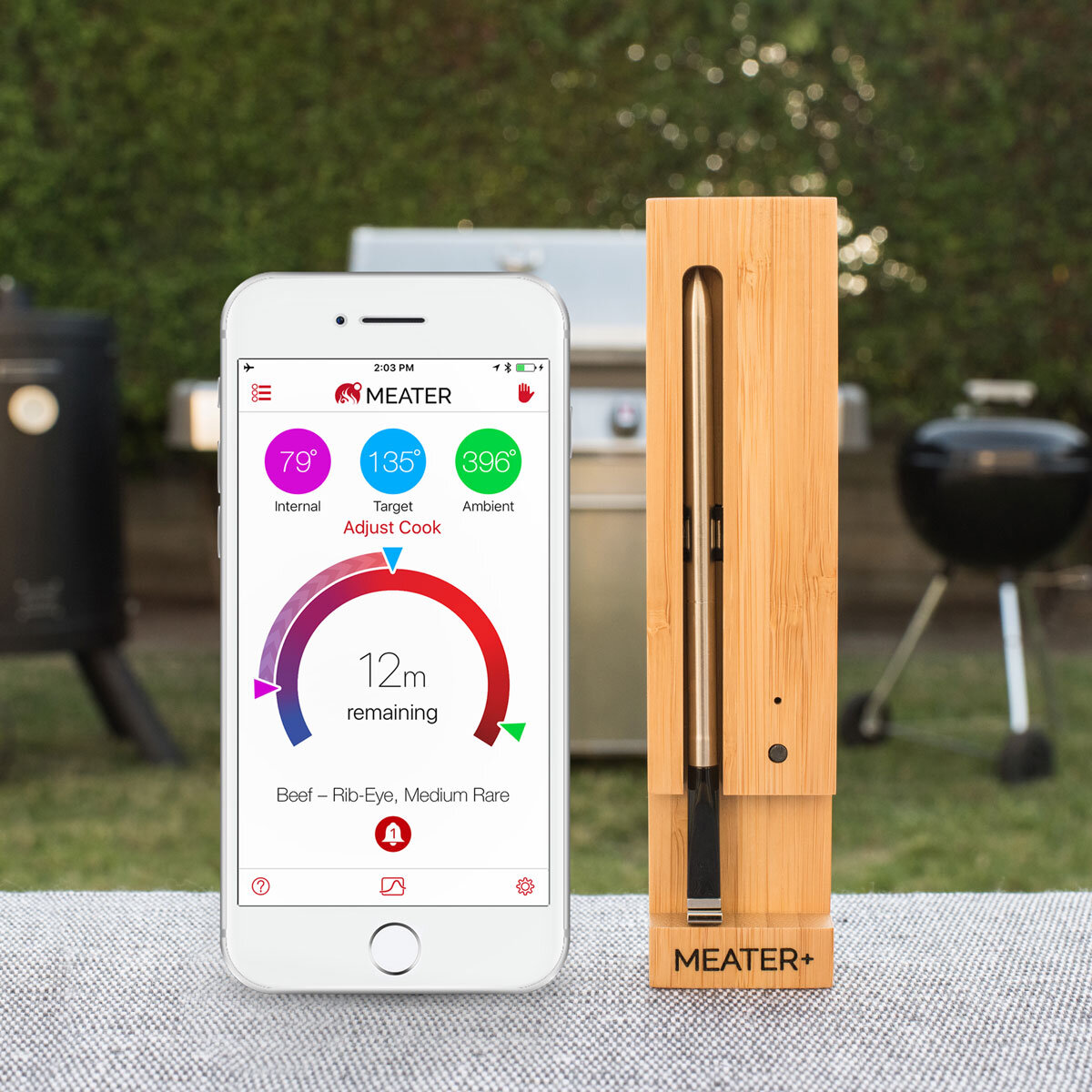 The Meater | Wireless Thermometer