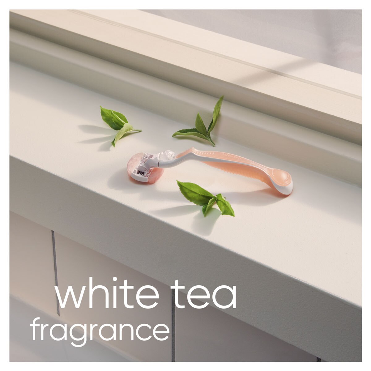 White Tea Fragrance