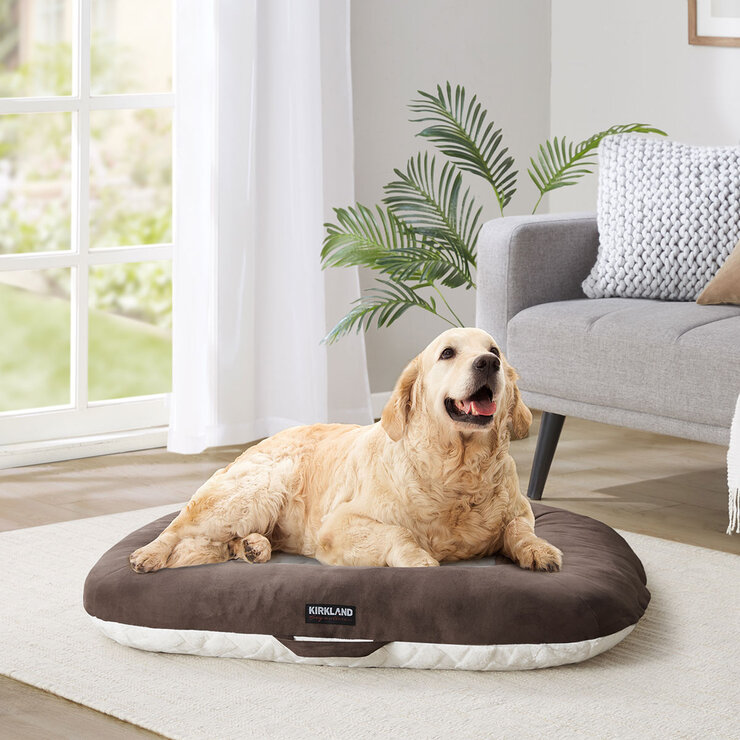 Brown Dog Bed on the Floor Brown Dog Bed on the Floor