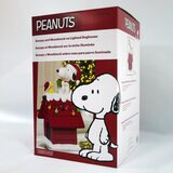 Buy Snoopy Holiday Dog House Box Image at Costco.co.uk