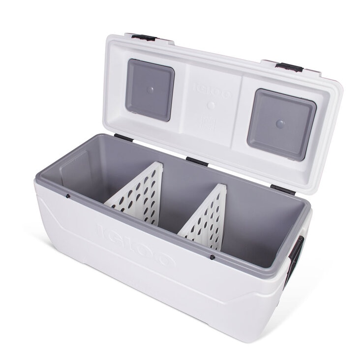 Igloo Max Cold 165QT Cooler
