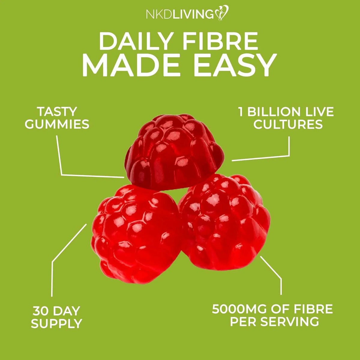 Daily Fibre Made Easy