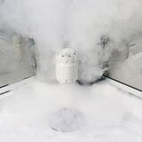 Insignia Diamond Steam Shower