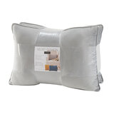 Velvet Oblong Cushion, 2 pack 