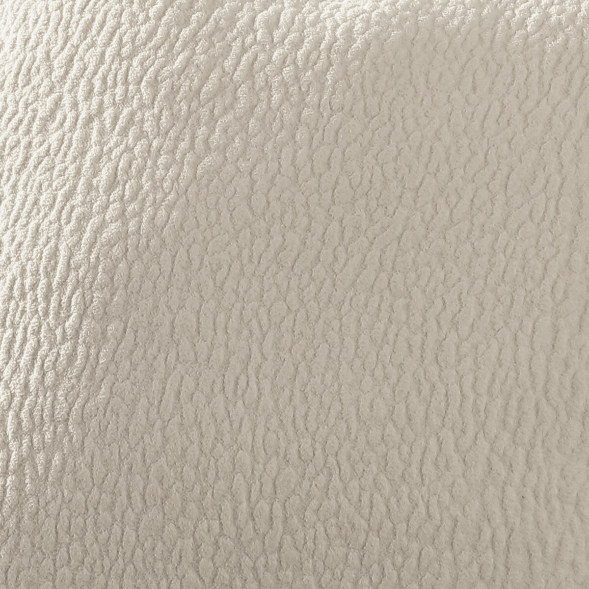 Envogue Maeve Cushion 2 Pack in Oatmeal, 56 x 56 cm