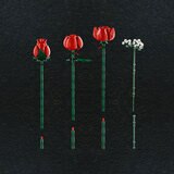 Buy LEGO Botanicals Bouquet of Roses Overview Image at Costco.co.uk