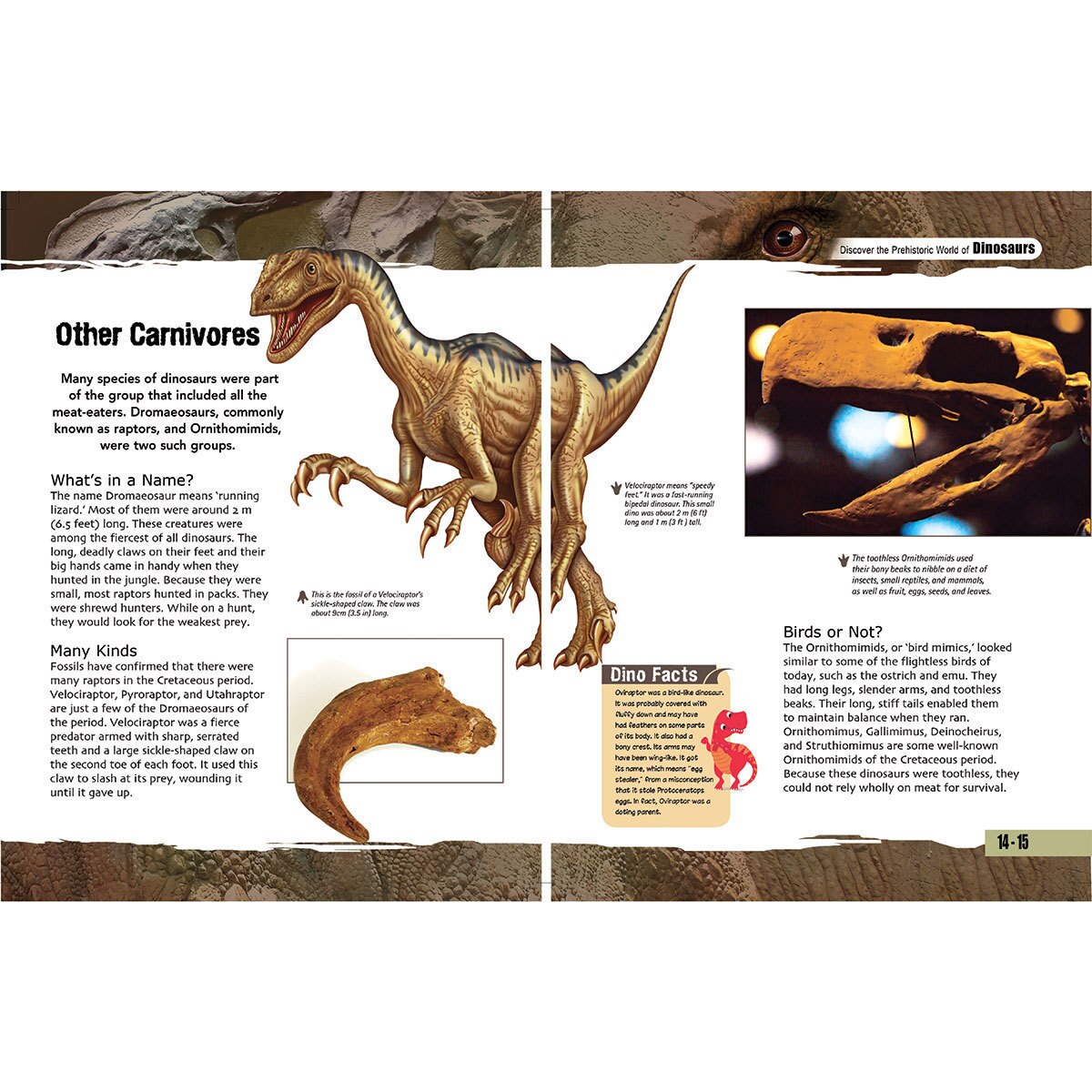 Image of two open covers
