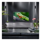 Buy LG 50QNED80A6A.AEK 50" QNED TV at Costco.co.uk