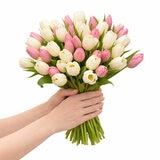 50 Stem Mother's Day Tulip Bouquet with Greetings Card