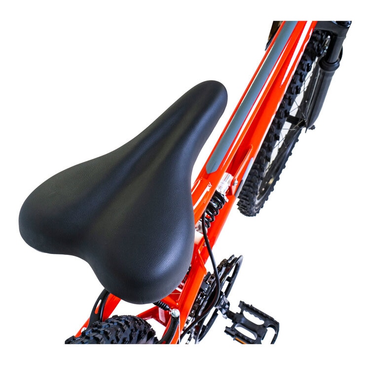 Saddle