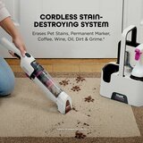 Shark StainForce Cordless Stain-Destroying Spot Cleaner stain destroying system
