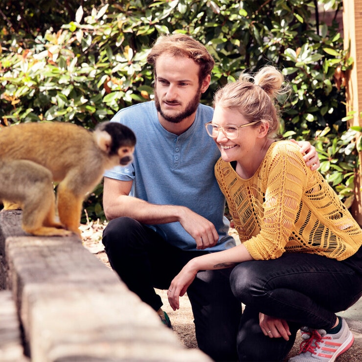 Go City London Explorer Pass - Tower Bridge