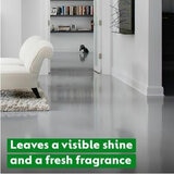 Visible Shine & Fresh Fragrance