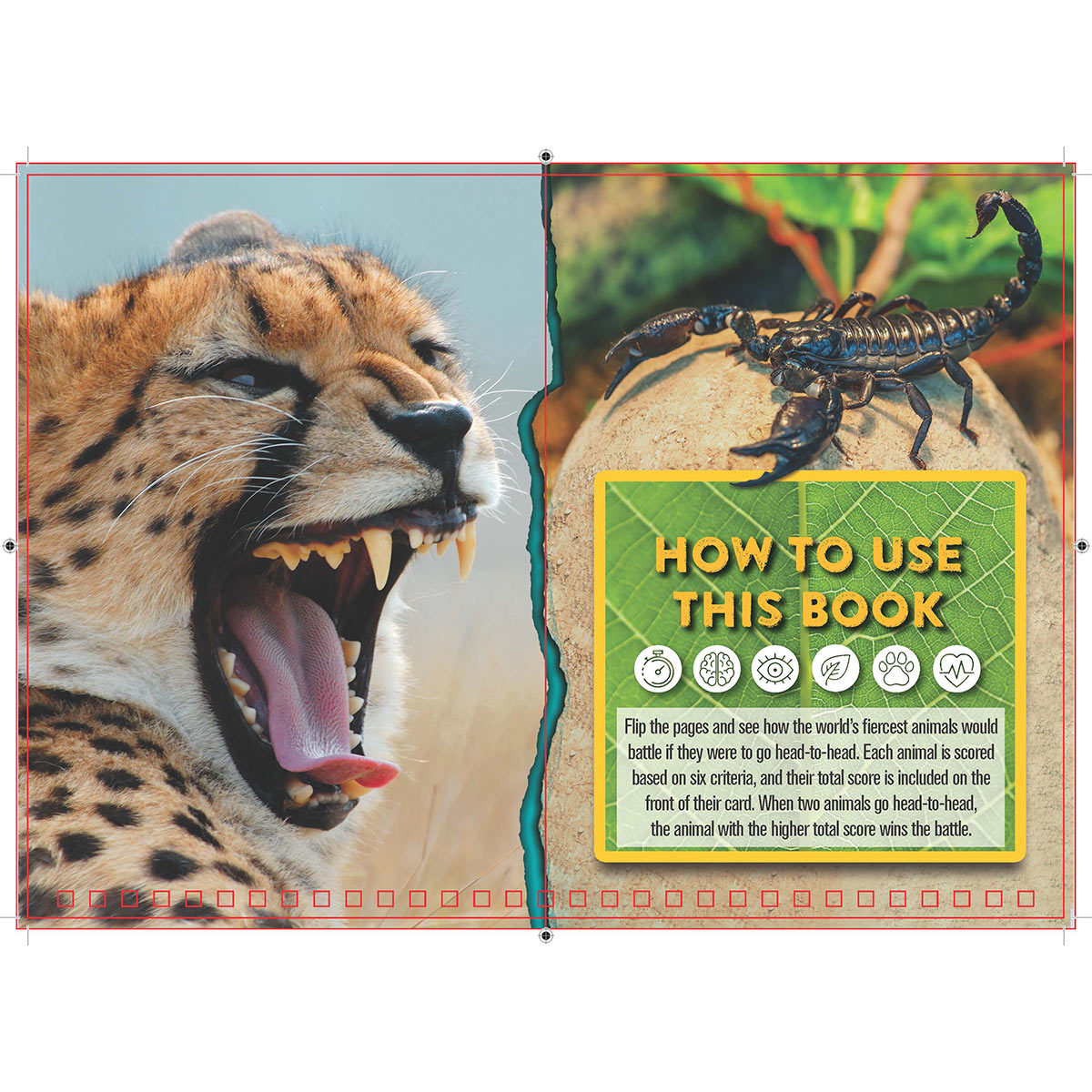 Discovery: Head-to-Head: Animals