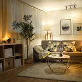 Lifestyle image of light bulbs in use in living room setting