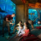 Go City Dubai Highlights Pass - Lost Chambers Aquarium at Atlantis The Palm