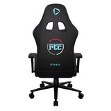 Back of Chair