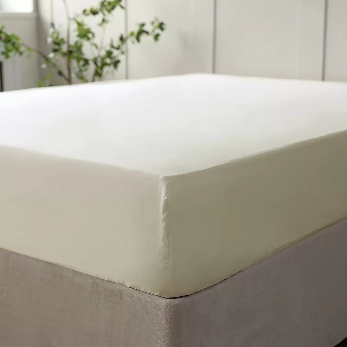 Drap housse en coton Belledorm 600 fils en 4 couleurs - Photo 3/8