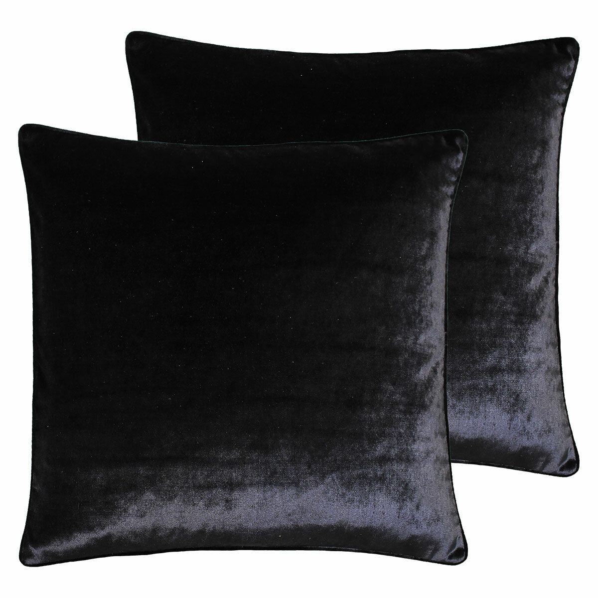 Paoletti Luxe Black Velvet Feather Fill Cushion 2 Pack, 55 x 55 cm