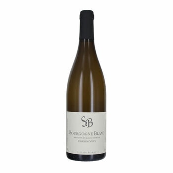 Sylvain Bzikot Bourgogne Chardonnay, 75cl