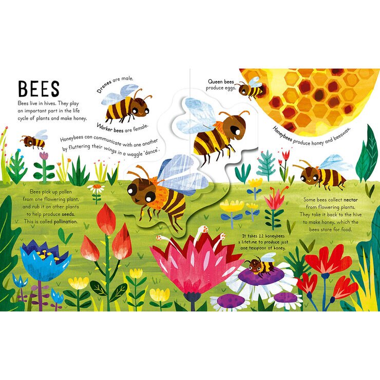 Curious Kids Pop-Up Book (2+ Years), Bugs and Minibeasts Curious Kids Pop-Up Book (2+ Years), Bugs and Minibeasts