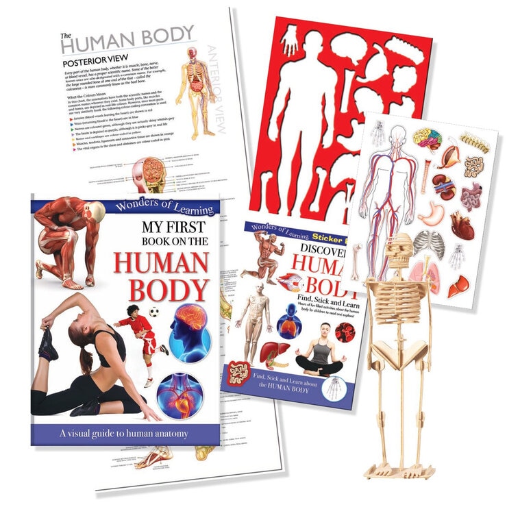 Human Body Human Body
