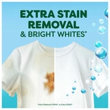 Extra Stain Removal and Bright Whites Extra Stain Removal and Bright Whites