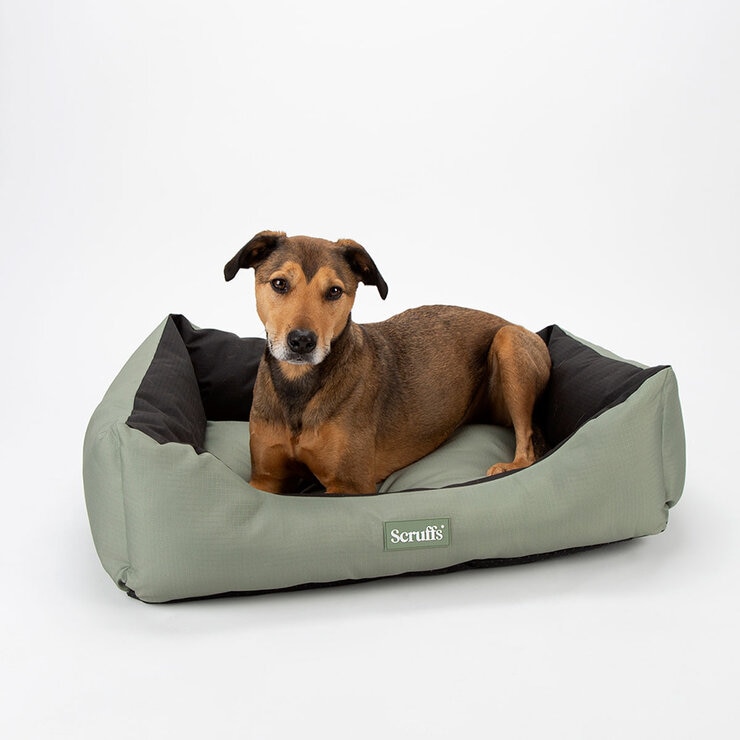 Scruffs Expedition Box Pet Bed, 24" x 19.5" (60cm x 50cm) in Green Scruffs Expedition Box Pet Bed, 24" x 19.5" (60cm x 50cm) in Green