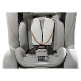 Studio image of the buckle and belts